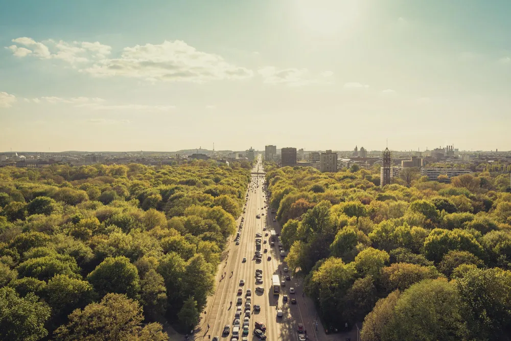 busy road with trees alongside headed toward a city skyline