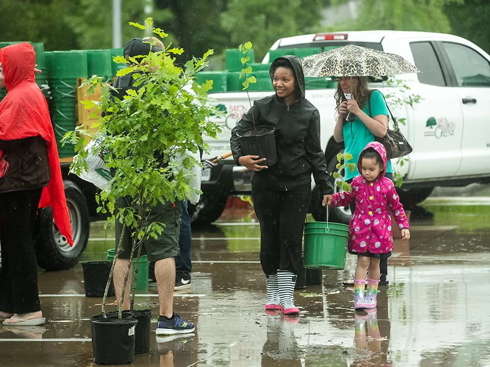 person and child carrying a tree to be planted