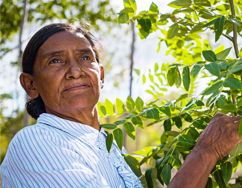 female farmer looking off into the distance in carbon forested land