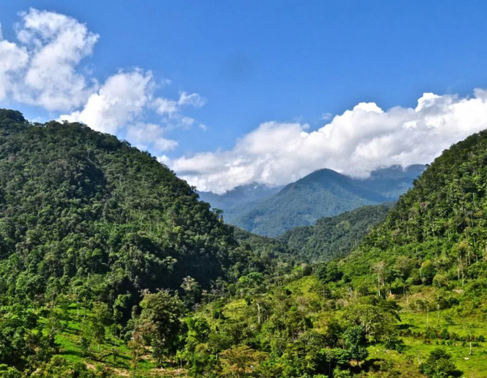 Alto Mayo Peru landscape of mountains and trees