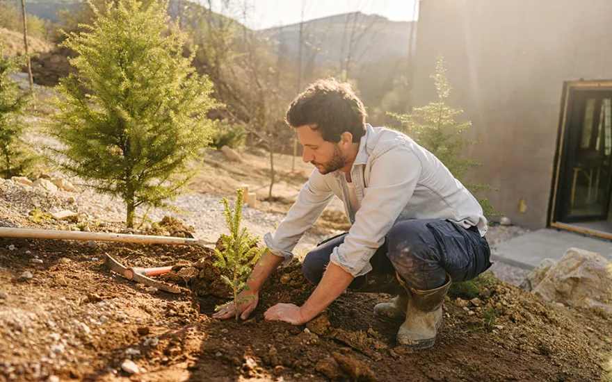 person planting a tree outside of house