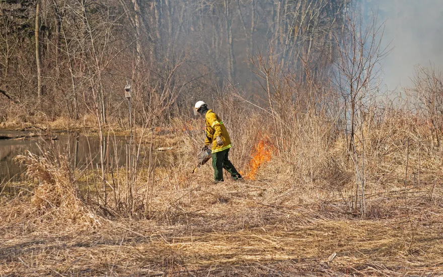 a person performing a prescribed fire