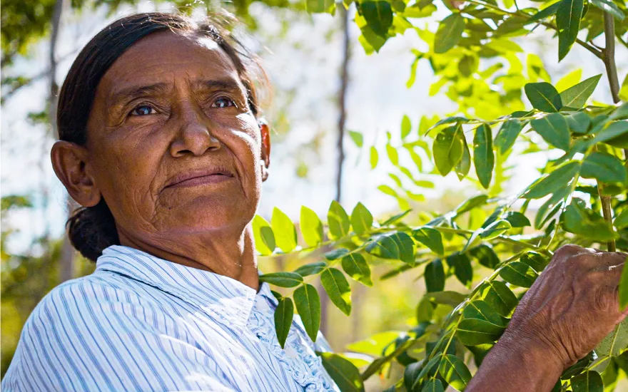 female farmer looking off into the distance in carbon forested land