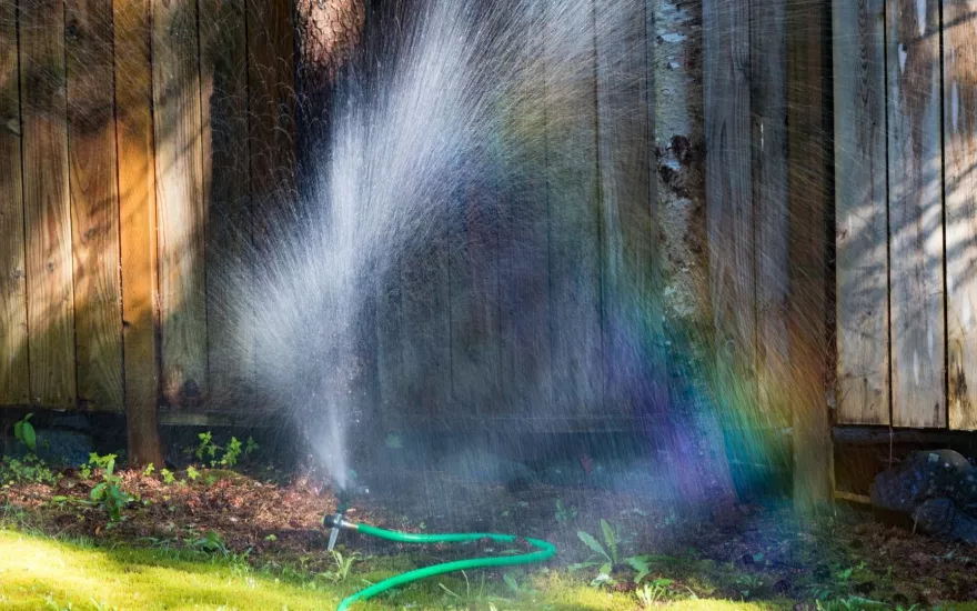 Media Name: sprinkler-tree-iStock-994121770.jpg