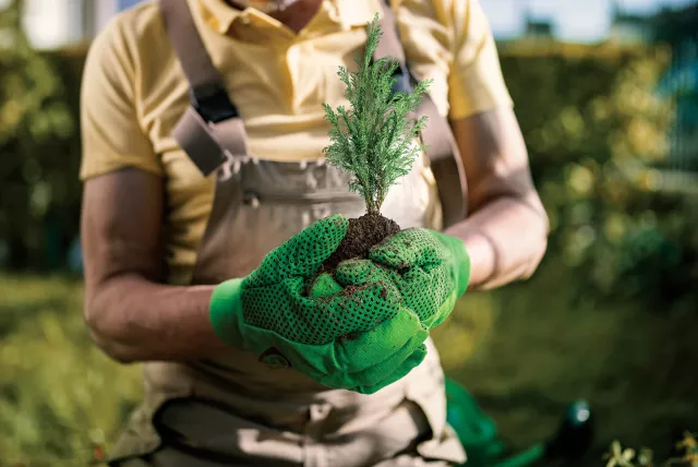 a person holding a plant.