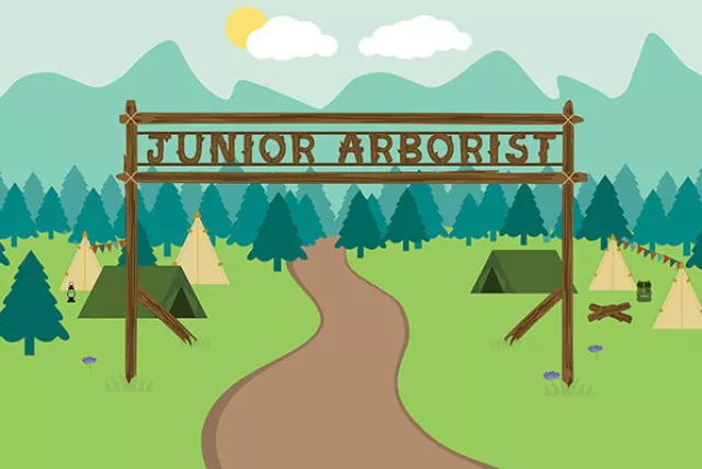 Jr. arborist online activity for kids thumbnail