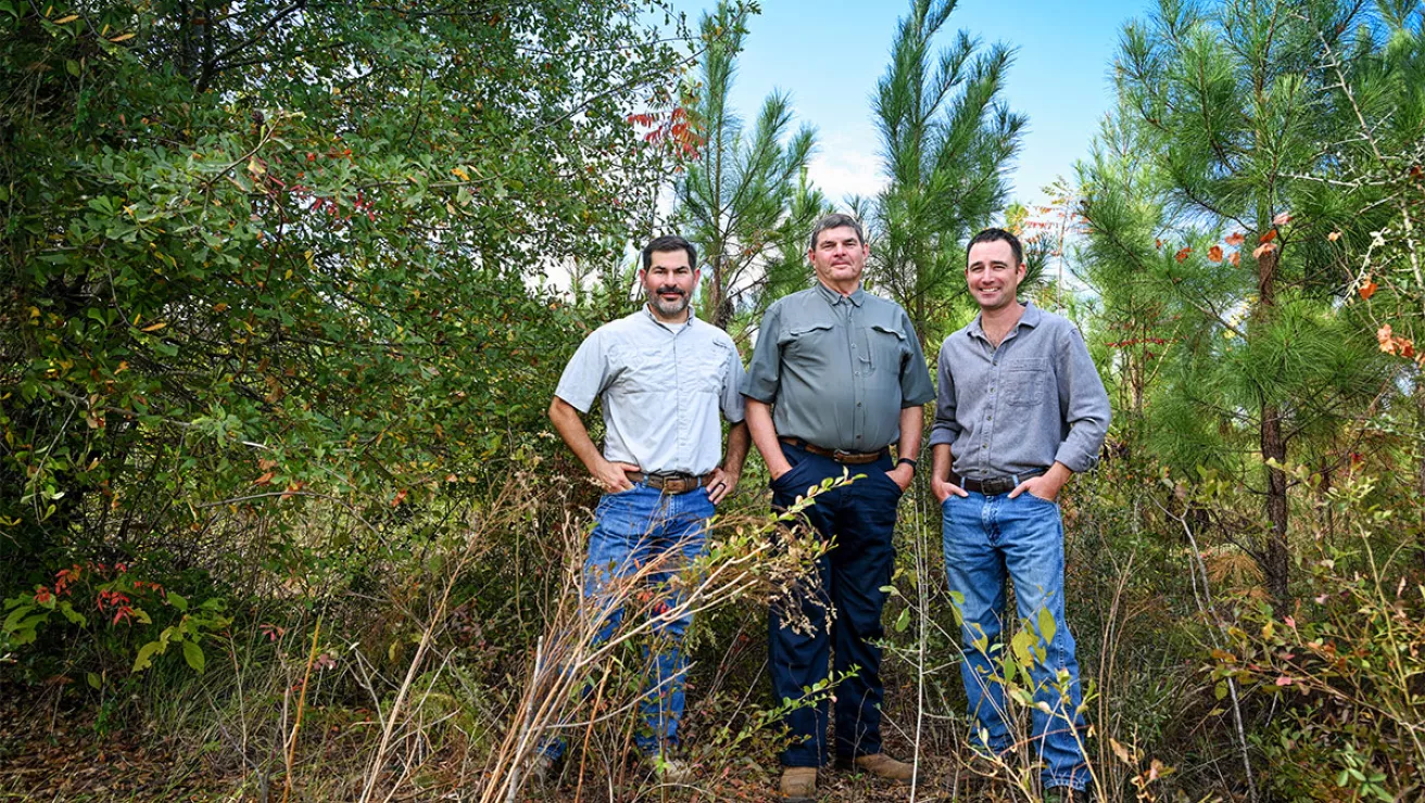 hayes family and forestry consultant