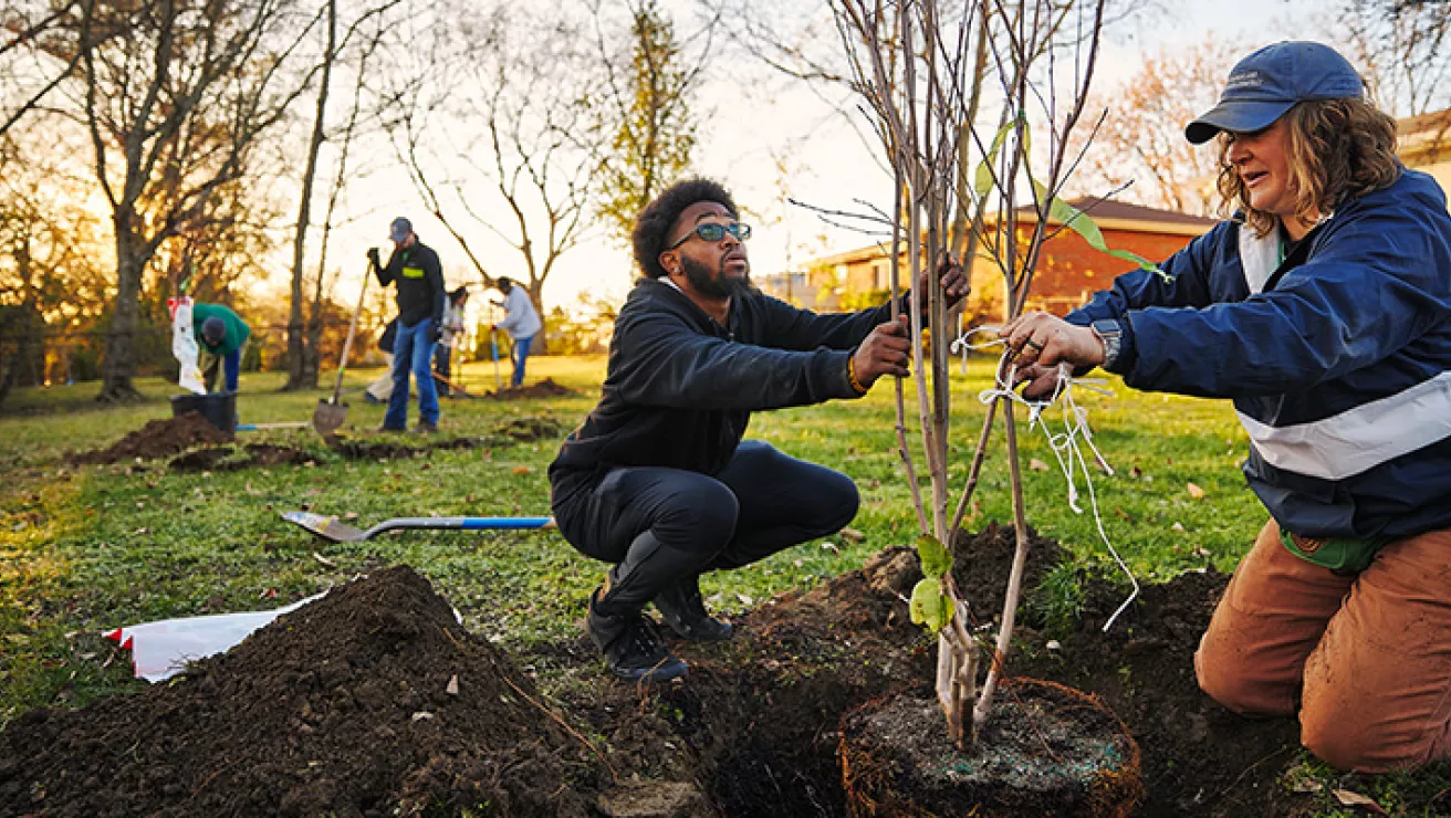 A fall tree planting in Nashville, TN to combat urban heat islands. Partner: Cumberland River Compact.