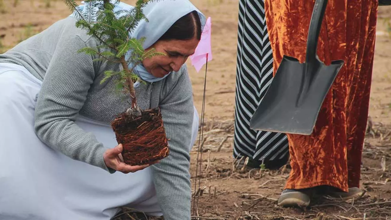 Woman at Yazidi tree planting