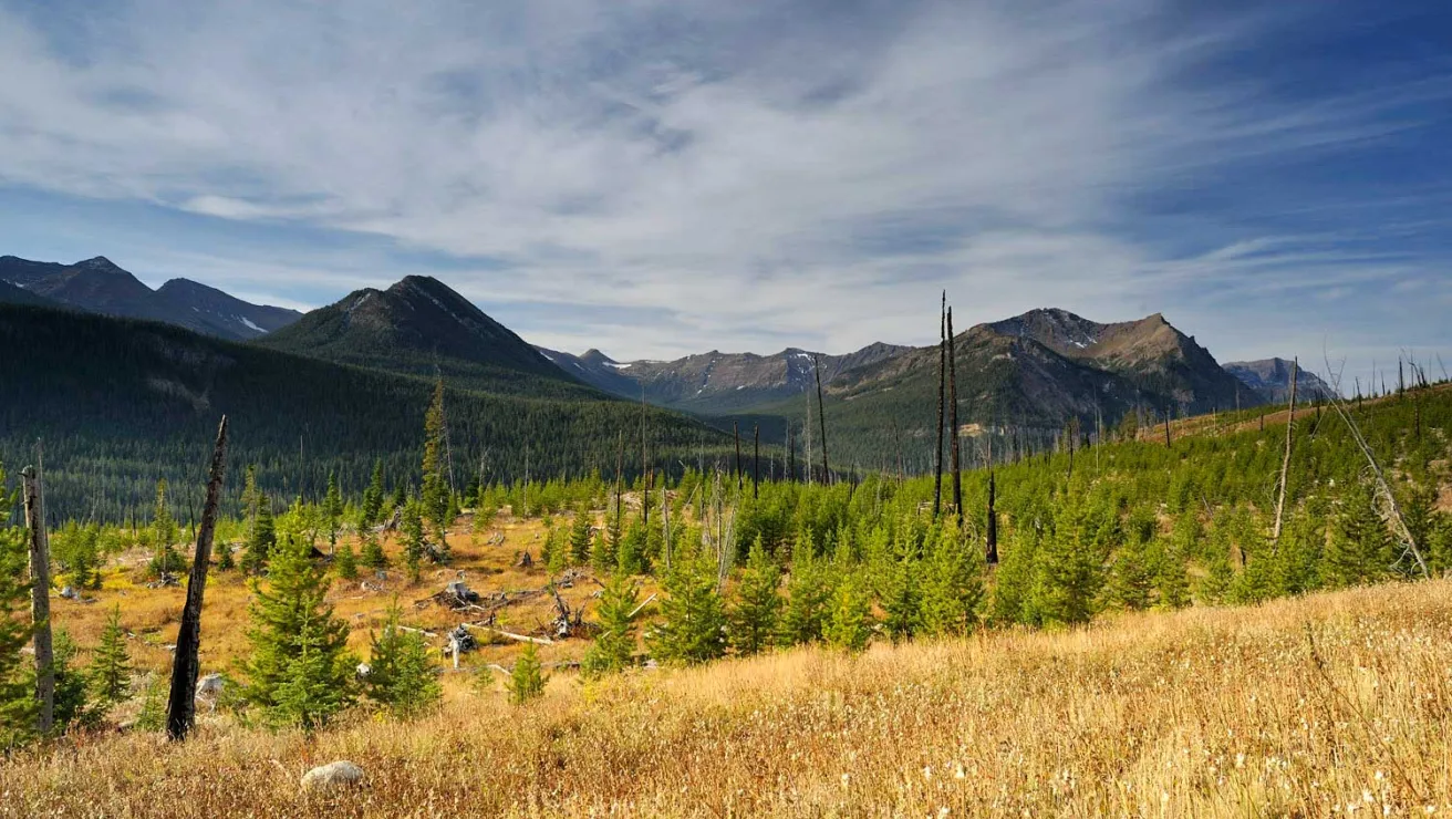 A serene grassy field stretches out, framed by a majestic mountain rising in the background under a clear blue sky.