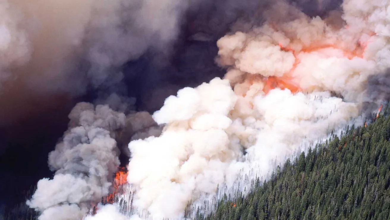 The smoke from the Yellowstone wildfires changed the color of the sky as far away as Michigan.