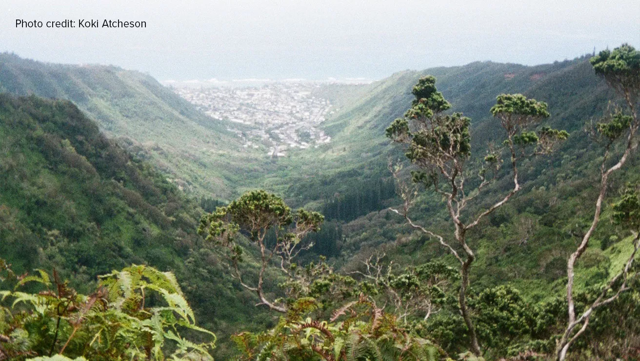 landscape photo by koki atcheson