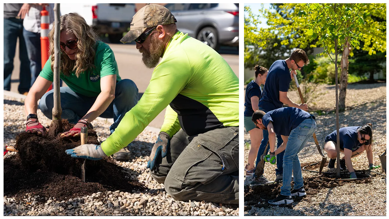 people planting trees collage