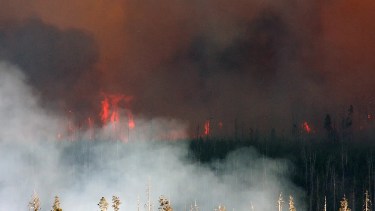 fire destruction at yellowstone national park