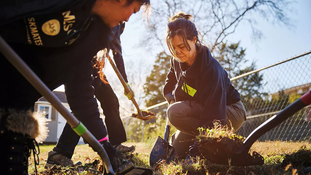 people planting trees