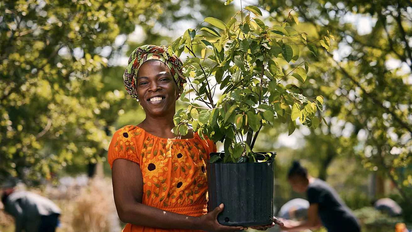 person holding a tree