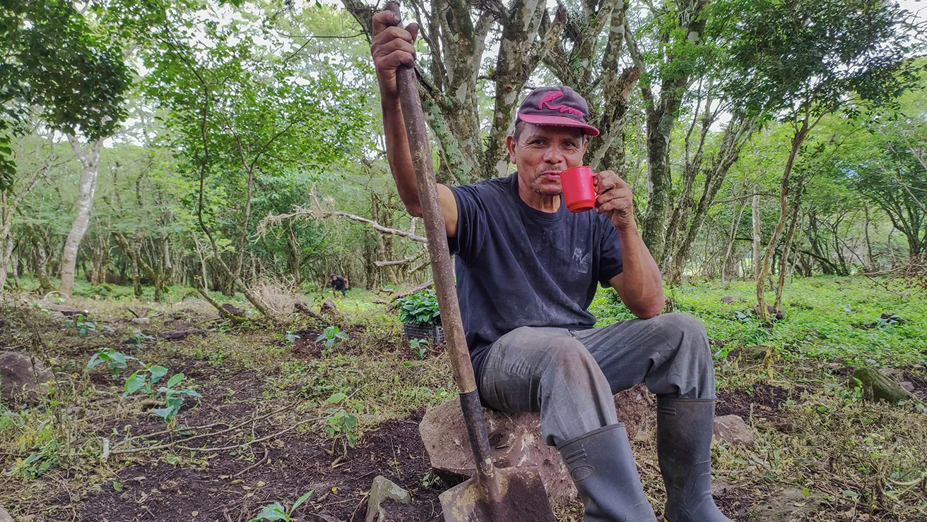 farmer sitting amongst forest