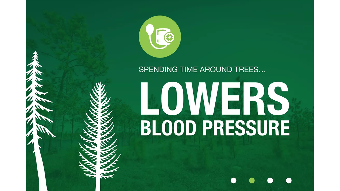 lowers blood pressure statistic 