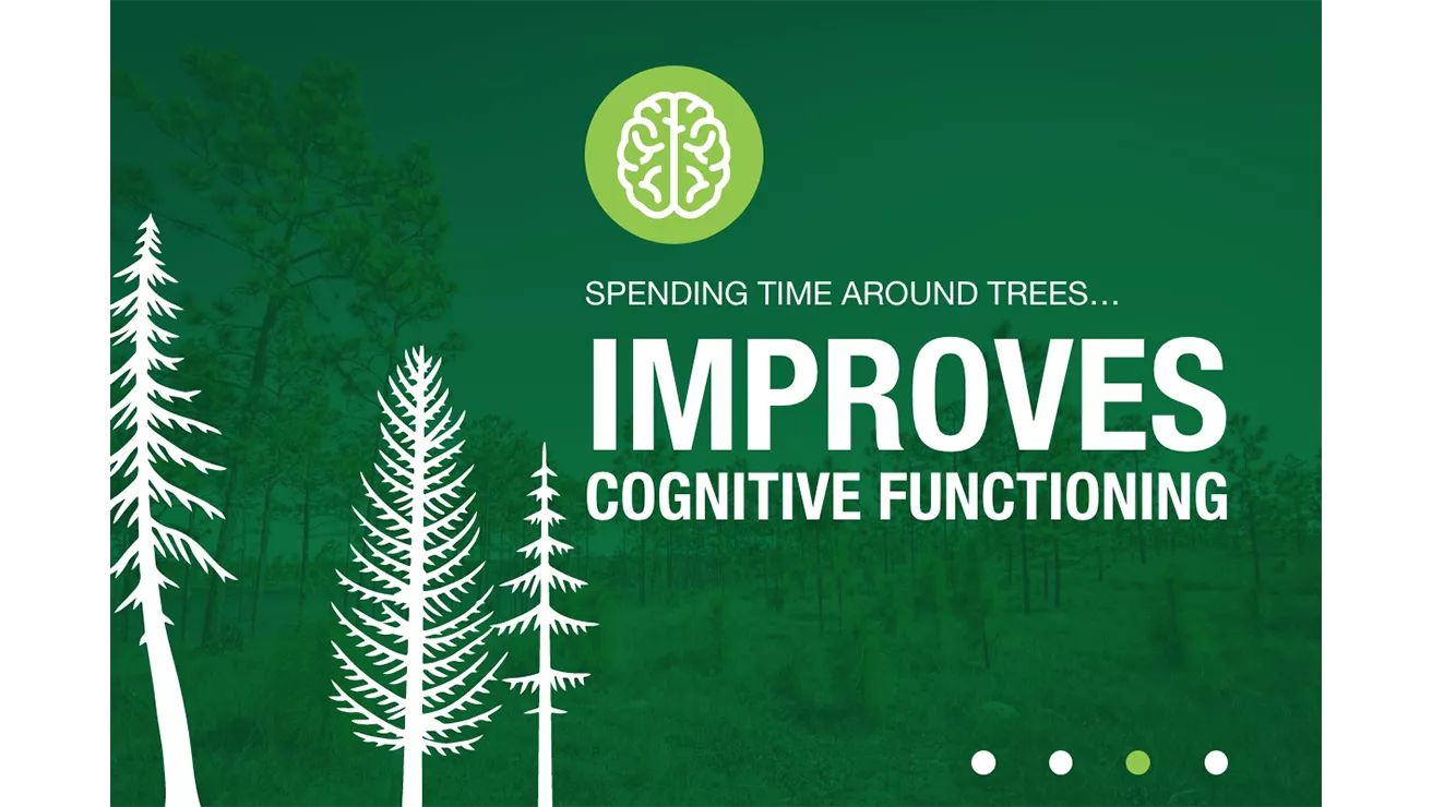 improves cognitive functioning statistic 