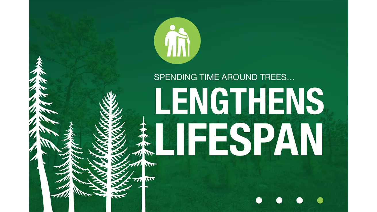 lengthens lifespan statistic