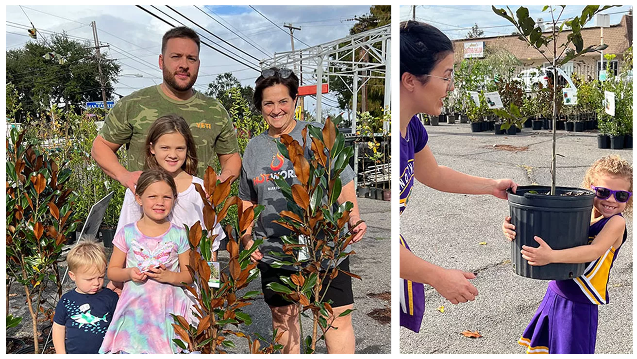 families replanting trees after hurricane