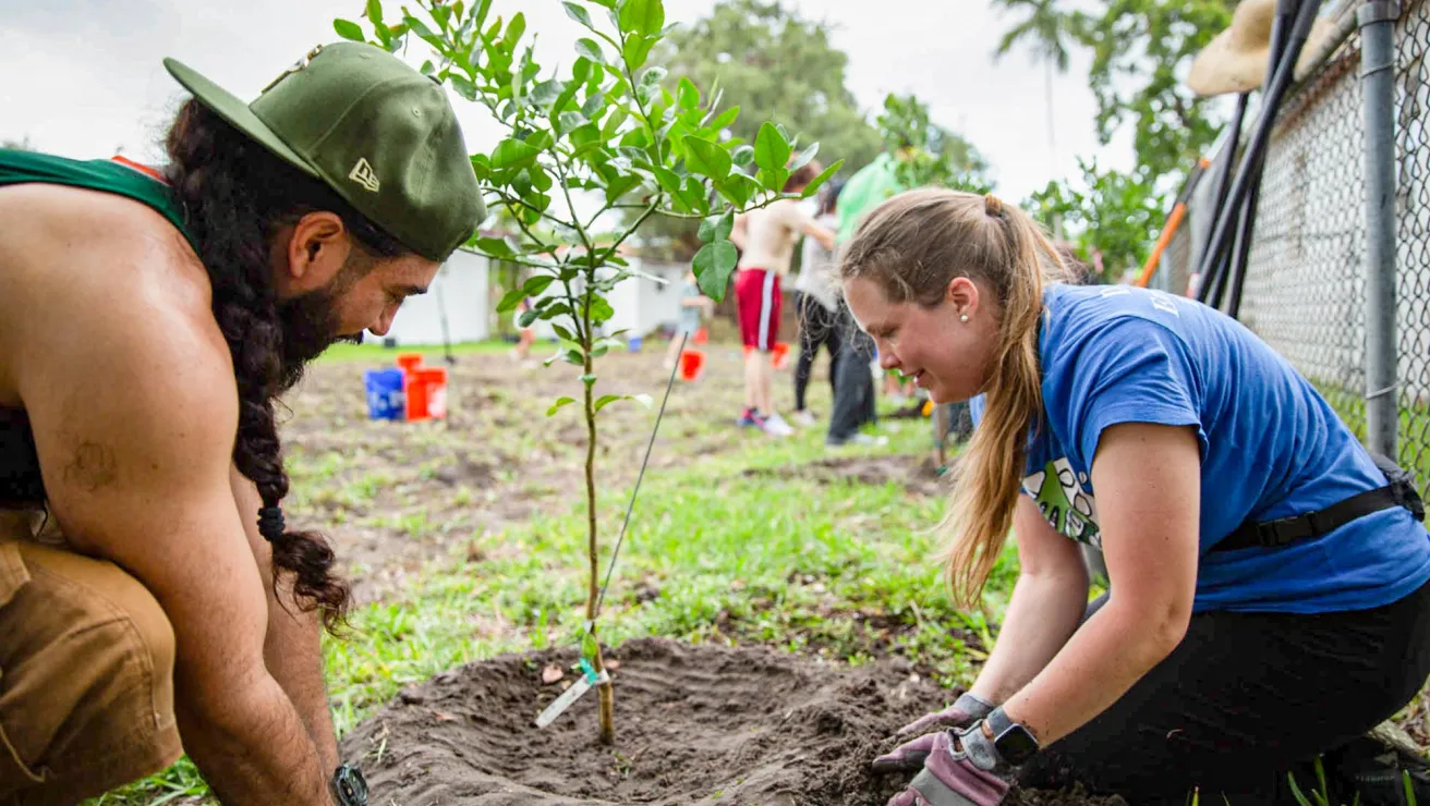 people volunteering in florida to plant trees