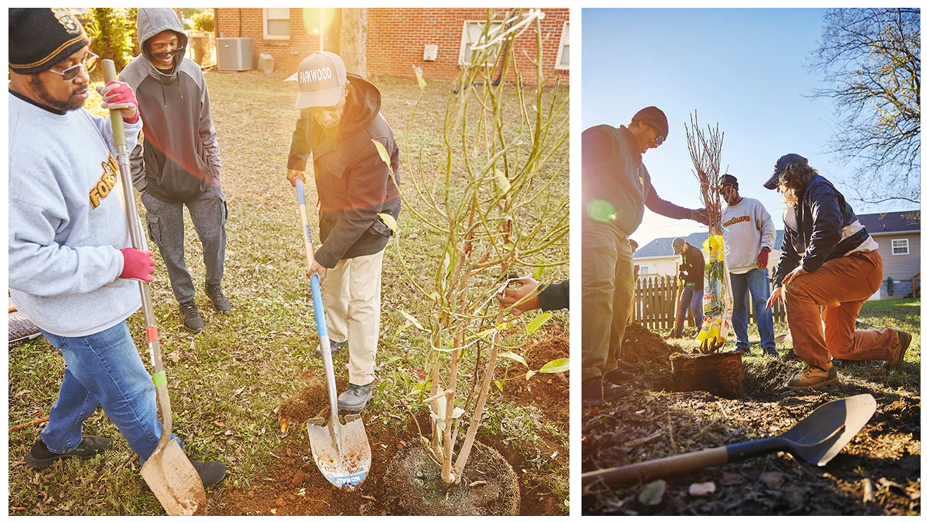 people planting collage