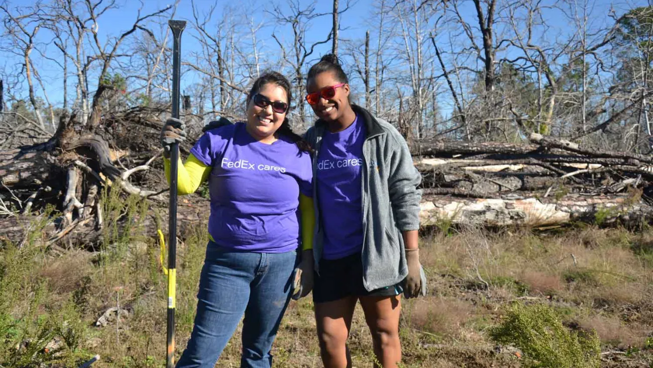 Two women in purple shirts stand beside fallen trees.