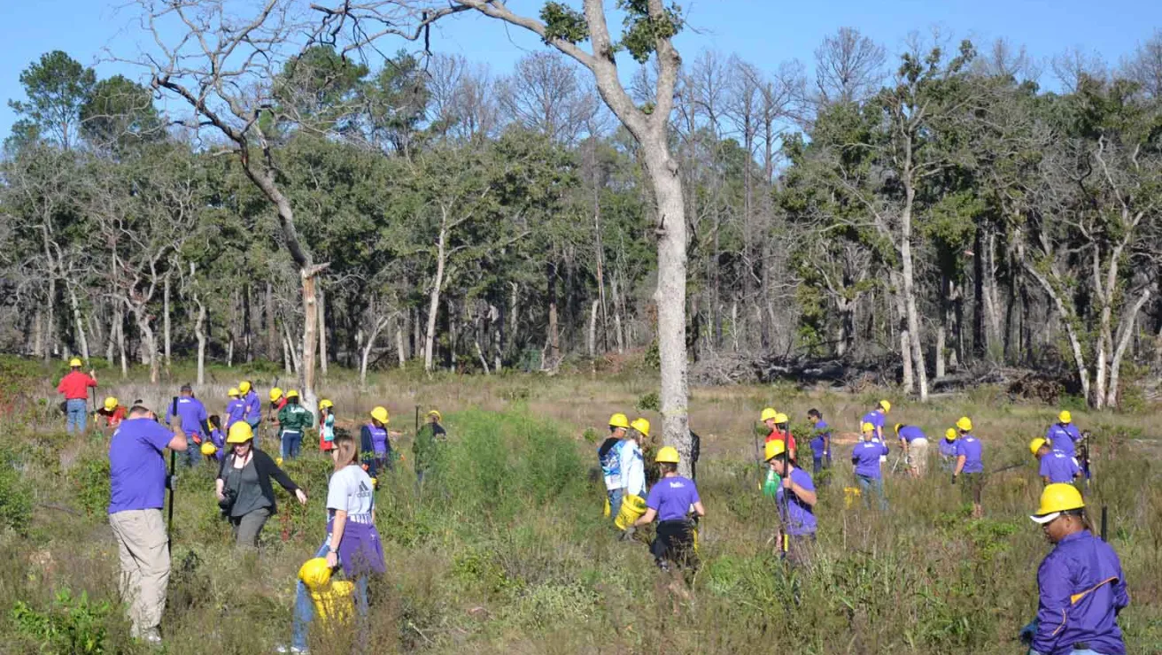 A diverse group of individuals wearing purple shirts and yellow helmets, engaged walking through a forested area.