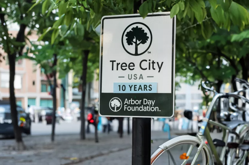 tree city USA sign