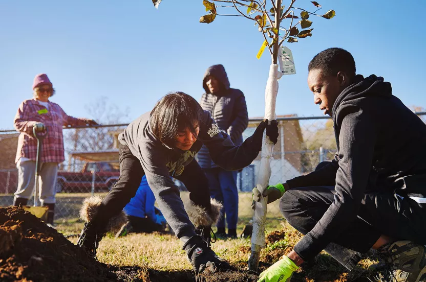 people planting trees