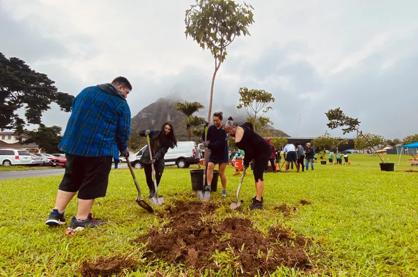 people planting trees