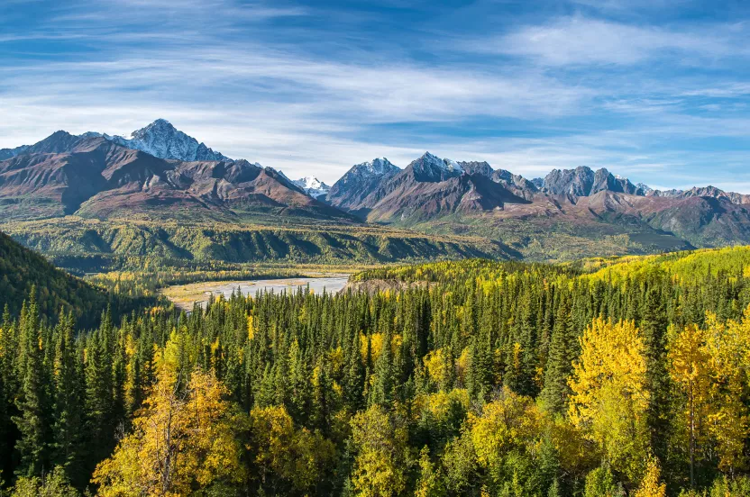 mountain range with trees