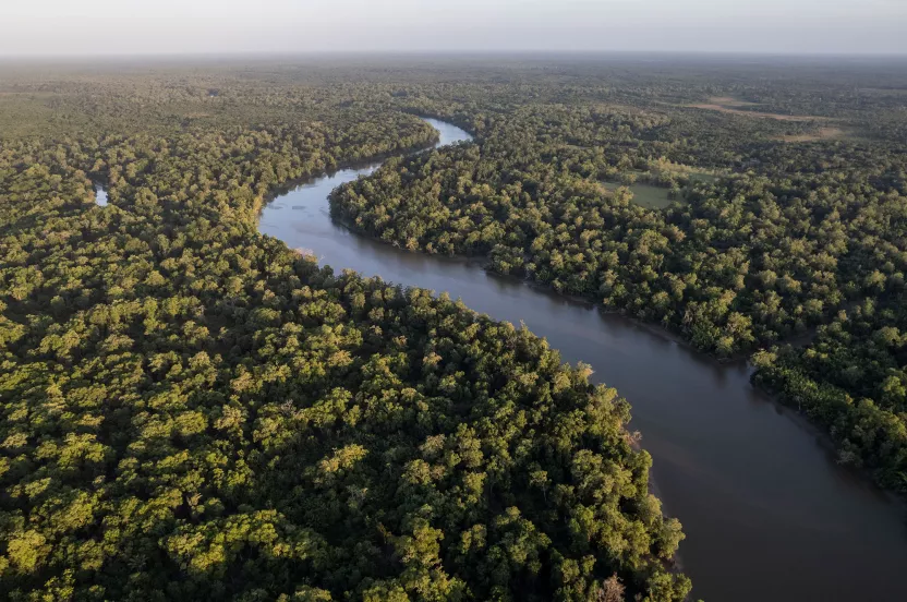 landscape of amazon river