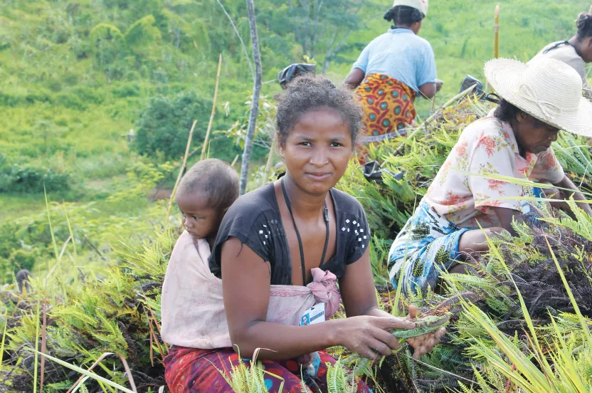 a woman and a child diligently working together in a lush green field