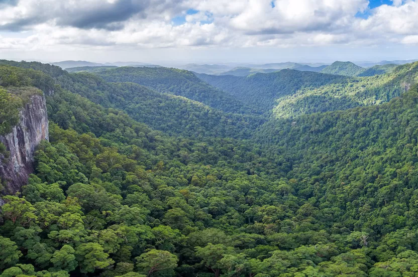 landscape of mountains and trees