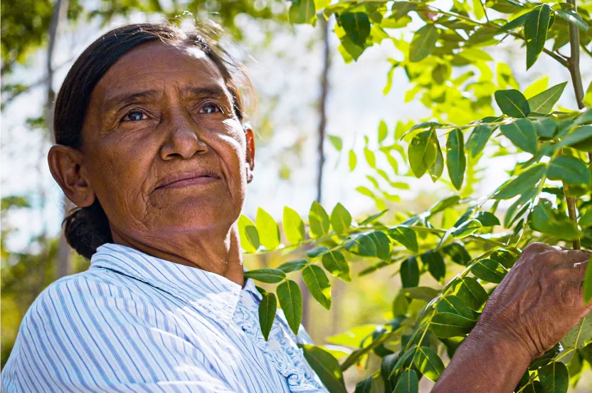 female farmer looking off into the distance in carbon forested land