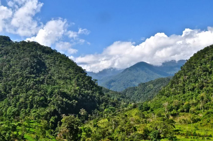 Alto Mayo Peru landscape of mountains and trees