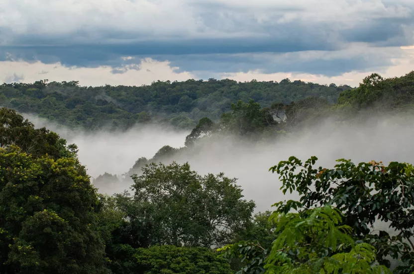 Everland, Keo Seima Wildlife Sanctuary