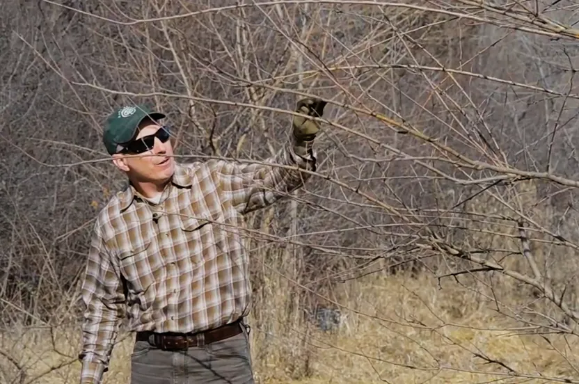 Man explaining the rules of tree pruning.