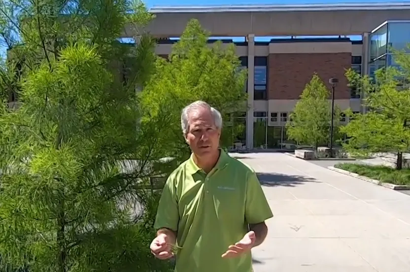 Man talking about and standing in front of a baldcypress.