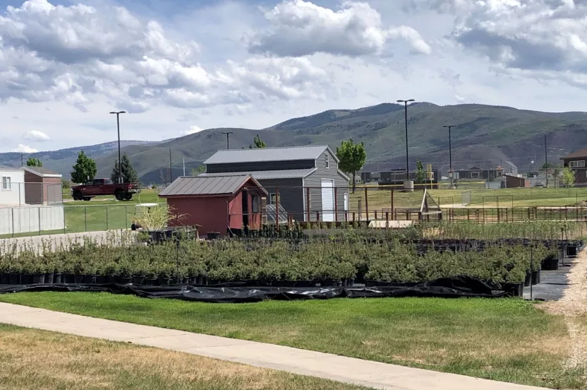 Media Name: Wasatch-High-School-IDEAL-Farms.jpeg