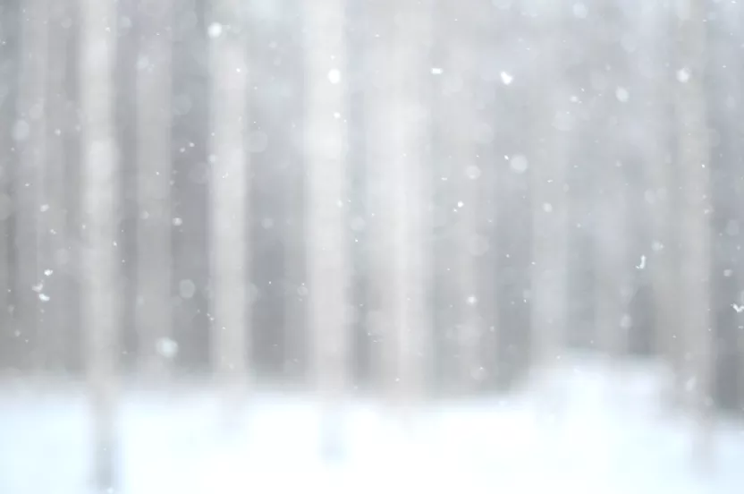 Media Name: blurred-snow.jpg