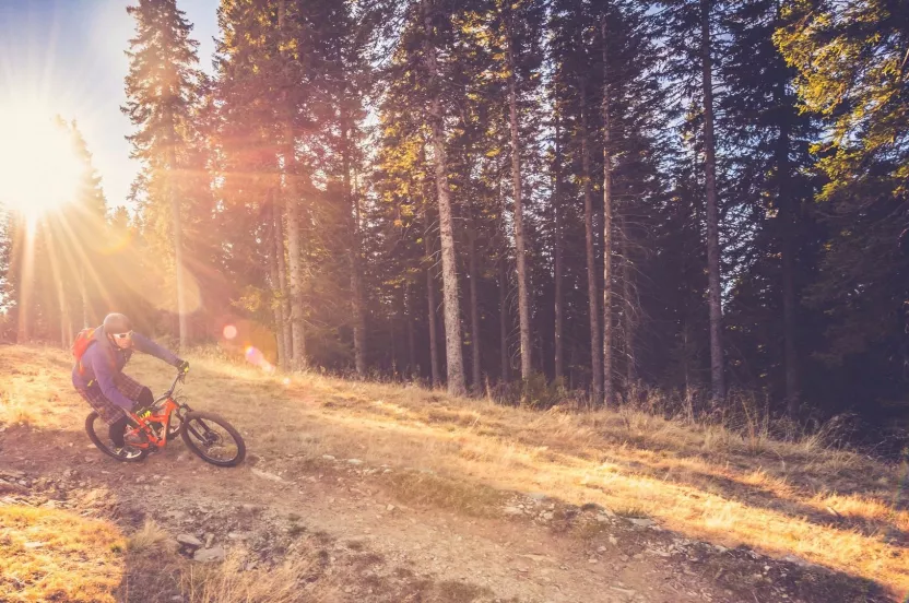 Media Name: mountain-biker-forest-iStock-516658978.jpg