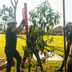 People gathered outside to plant a tree.